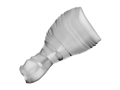 Muslo De Pollo Modelo 3D