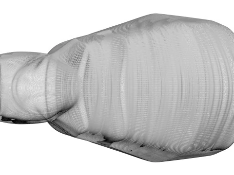 Muslo De Pollo Modelo 3D