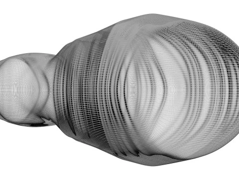 Muslo De Pollo Modelo 3D