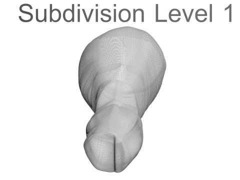 Muslo De Pollo Modelo 3D