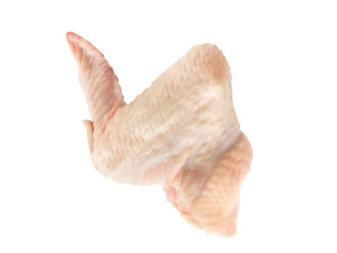 Chicken Wing 3D Model