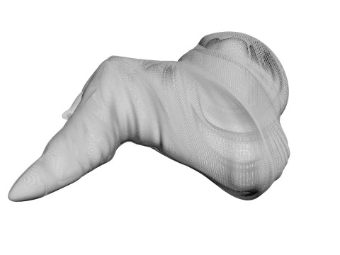 Chicken Wing 3D Model