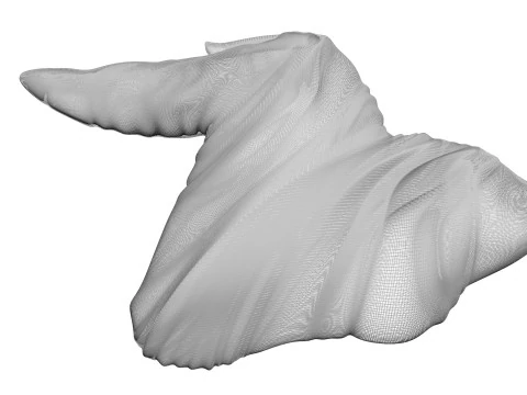 Chicken Wing 3D Model