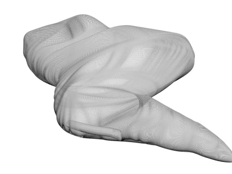 Chicken Wing 3D Model