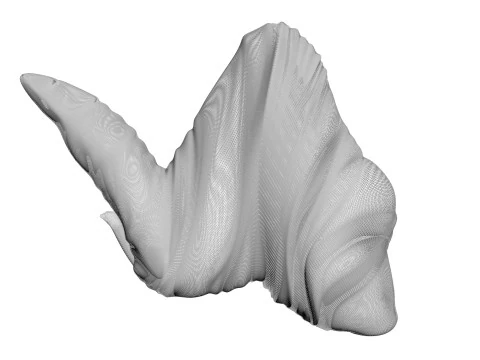 Chicken Wing 3D Model