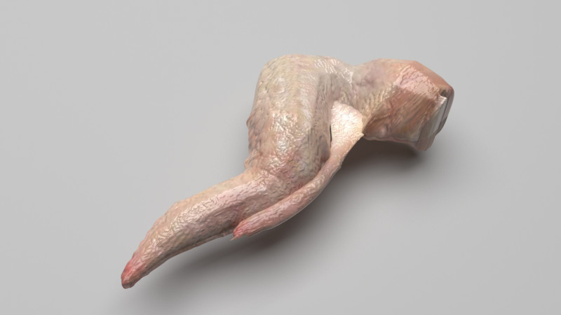 Chicken Wing 3D Model .c4d .max .obj .3ds .fbx .stl .blend