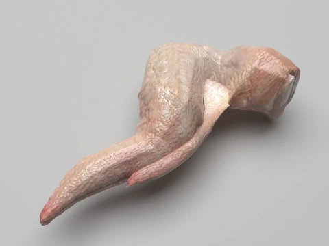 チキンウィング 3Dモデル