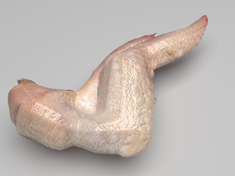 Chicken Wing 3D Model