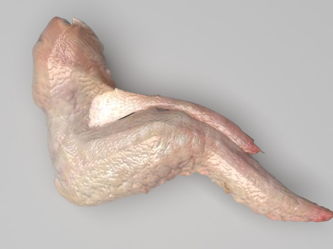 Chicken Wing 3D Model