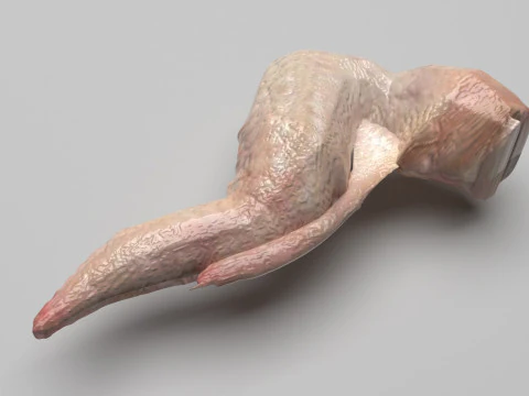 Chicken Wing 3D Model