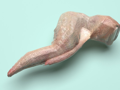 Chicken Wing 3D Model