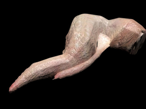 Chicken Wing 3D Model