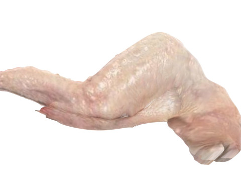 Chicken Wing 3D Model