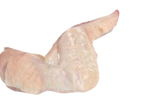 Chicken Wing 3D Model