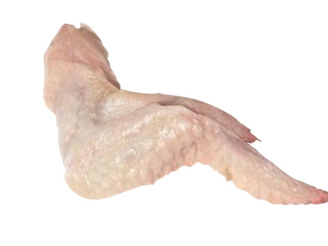 Chicken Wing 3D Model