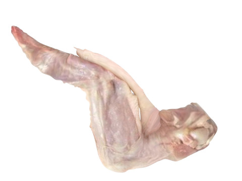 Chicken Wing 3D Model