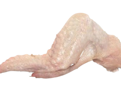 Chicken Wing 3D Model