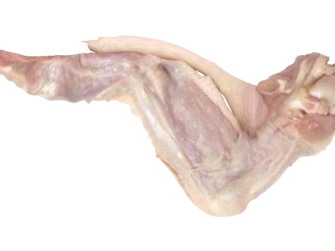 Chicken Wing 3D Model