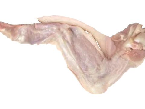 Chicken Wing 3D Model