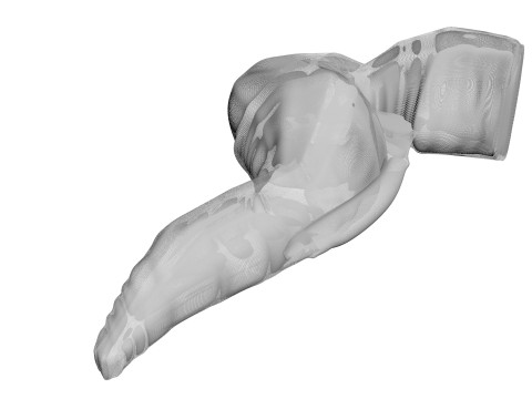 Chicken Wing 3D Model