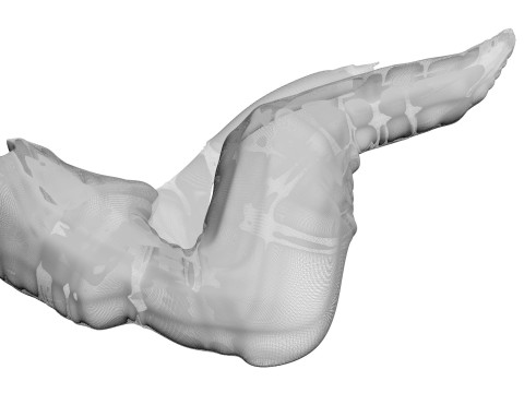 Chicken Wing 3D Model