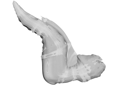 Chicken Wing 3D Model