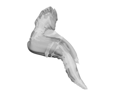 Chicken Wing 3D Model