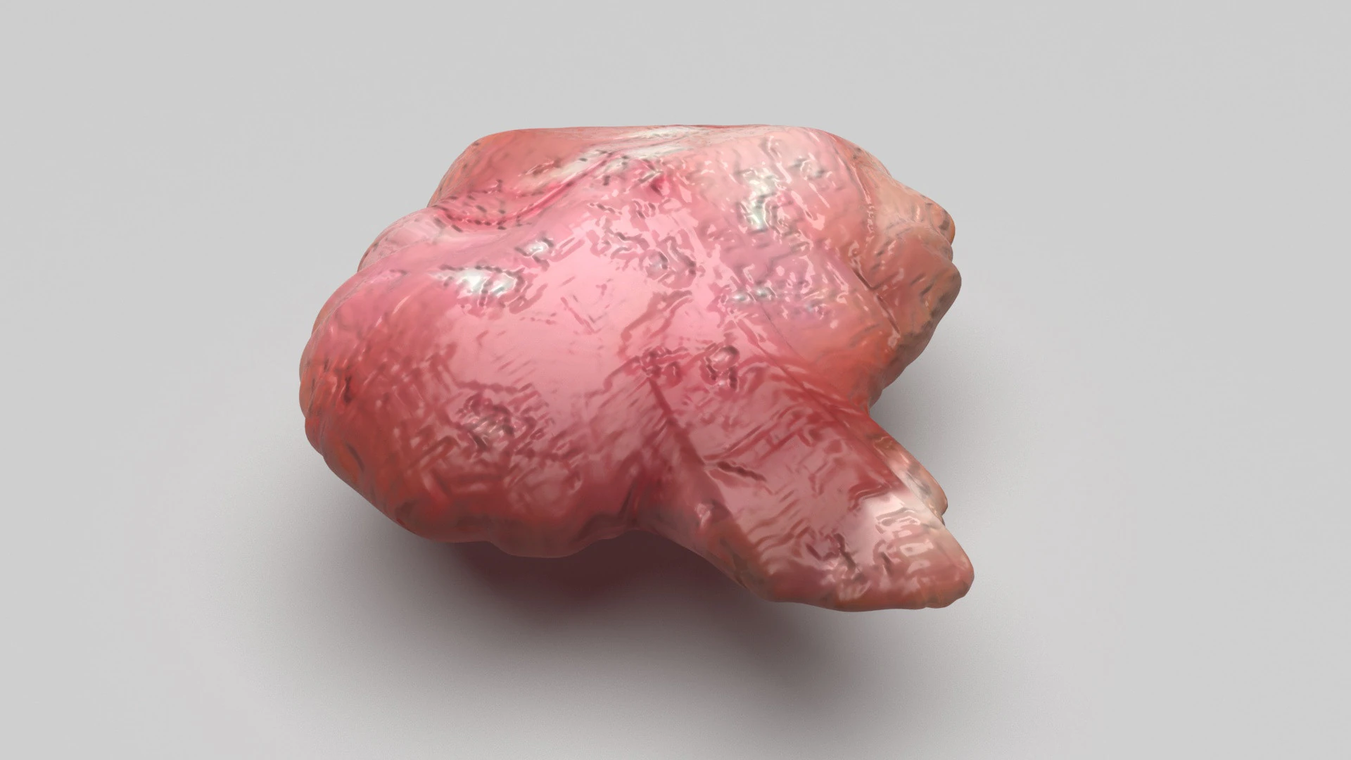 Курячий мозок 3D Модель .c4d .max .obj .3ds .fbx .stl .blend 