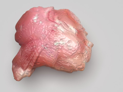 Chicken Brain Model 3D