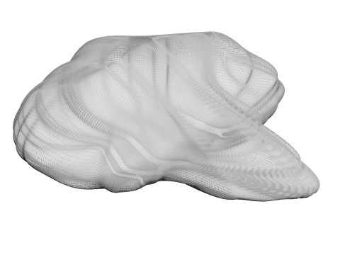 Chicken Brain Model 3D