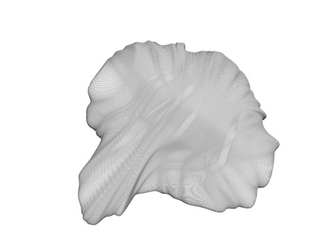 Chicken Brain Model 3D