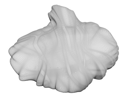 Chicken Brain Model 3D