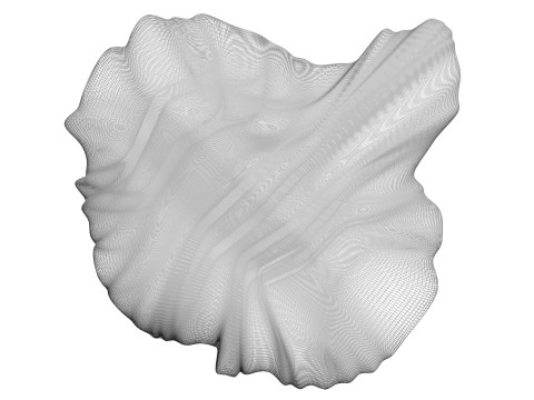 Chicken Brain Model 3D