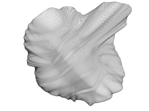 Chicken Brain Model 3D