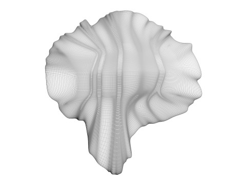 Chicken Brain Model 3D