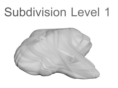 Chicken Brain Model 3D