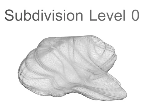 Курячий мозок 3D Модель