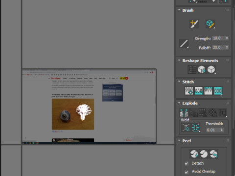 Chicken Brain Model 3D