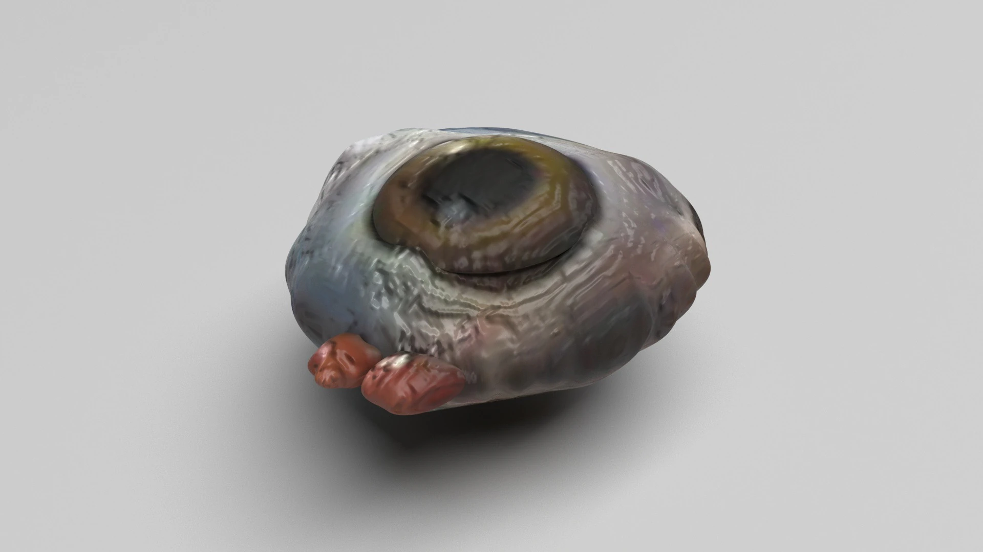 チキンアイ 3Dモデル .c4d .max .obj .3ds .fbx .stl .blend 