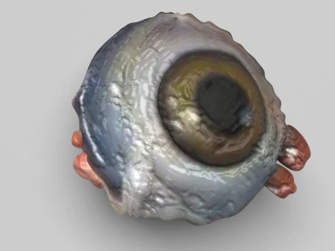 チキンアイ 3Dモデル