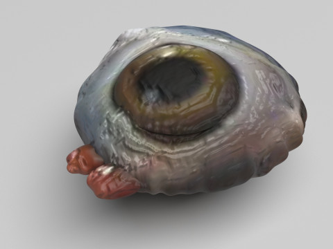 Chicken Eye 3D 모델
