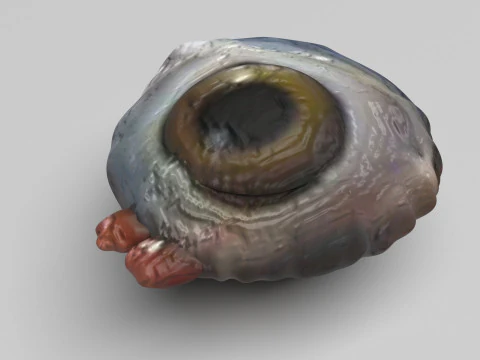 チキンアイ 3Dモデル