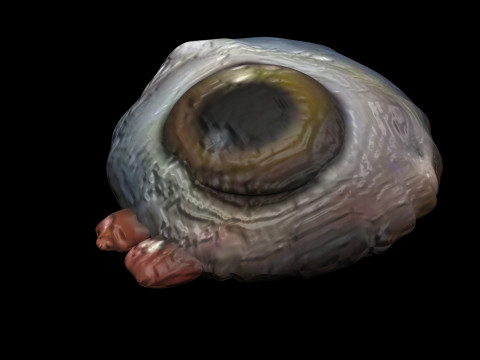 Chicken Eye 3D 모델
