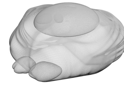 チキンアイ 3Dモデル