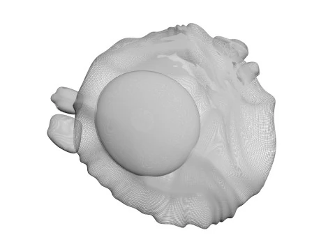 チキンアイ 3Dモデル