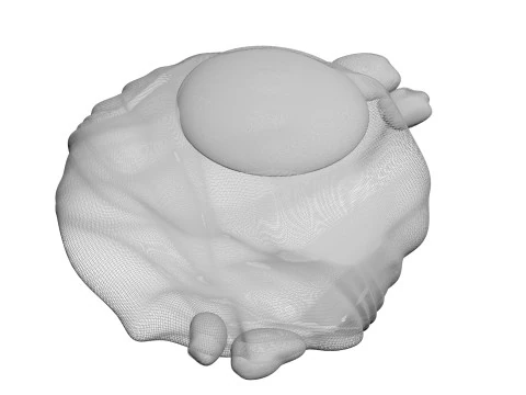 チキンアイ 3Dモデル