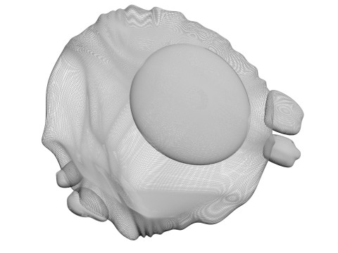 Chicken Eye 3D 모델