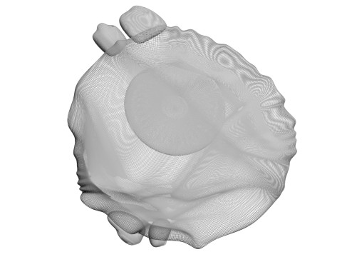 Chicken Eye 3D 모델