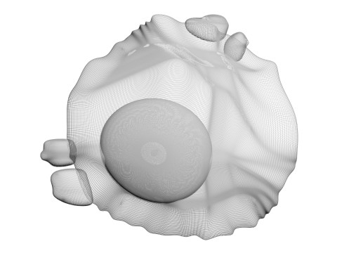 Chicken Eye 3D 모델