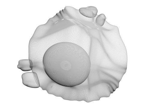 チキンアイ 3Dモデル